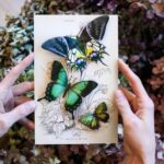Vlinderset-Malachite-Scrapboeken.nl_.jpg