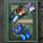 Vlinderset-Morphos-en-Monarch-1-Scrapboeken.nl_.jpg