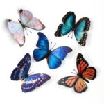 Vlinderset-Morphos-en-Monarch-Scrapboeken.nl_.jpg