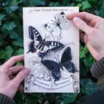 Vlinderset-„Southwest-Scrapboeken.nl_.jpg