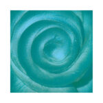 Wax-Patina-40-ml-Geoxideerde-Uitstraling-Stamperia-Scrapboeken.nl-1-1.jpg