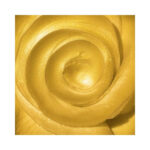 Wax-Patina-40-ml-Klassiek-Goud-Stamperia-Scrapboeken.nl-2-1.jpg