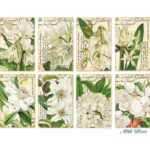 Witte-Bloemen-Mini-Plakboekpapier-Scrapboeken-1-1.jpg
