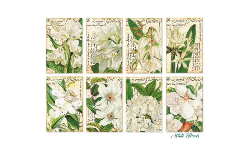 Plakboekpapier Mini Witte Bloemen Decorer