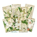 Witte-Bloemen-Mini-Plakboekpapier-Scrapboeken-2.jpg
