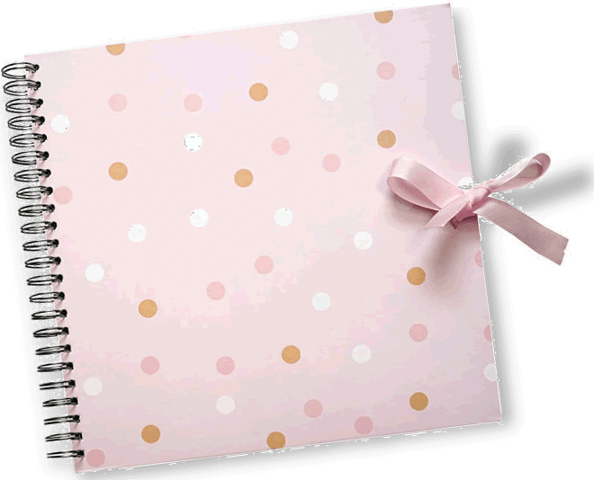 Plakboek-Scrapbook 20x20 Pink Dots
